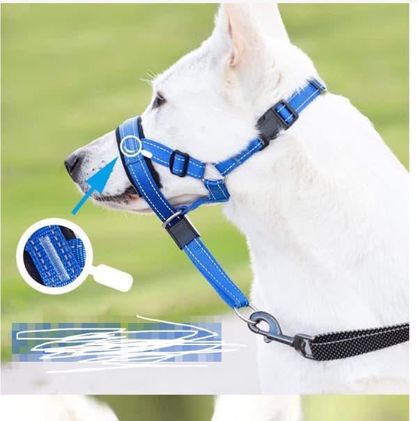 INF Justerbar reflekterende nylon hundekurv  M