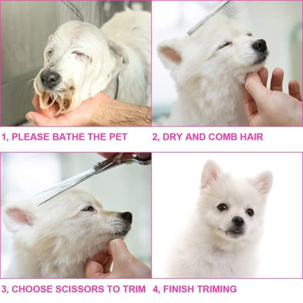 Professionell Hund sax Kit Safe Runda Spetsar Rostfritt stål Djur Grooming Clippers