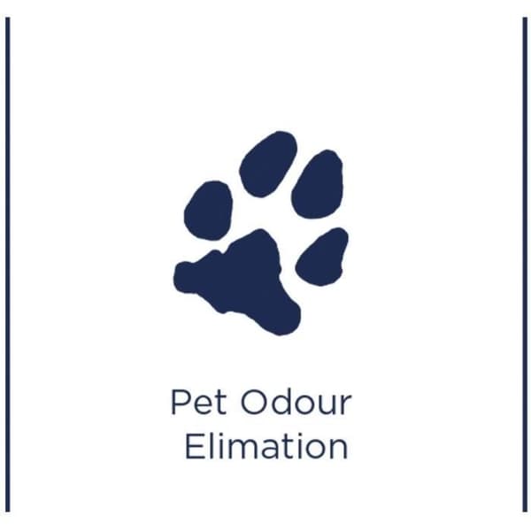Spot & Stain Pet 1L Spotclean pletrenser