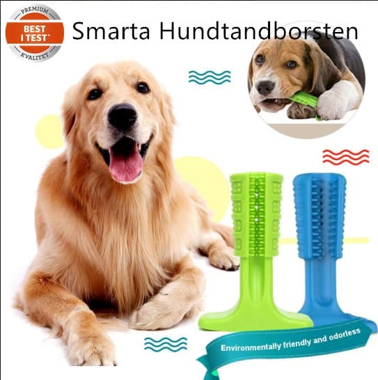 Doggystick - den smarta Tandborsten för Hund Doggystick - den smarta Tandborsten för Hund