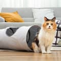 Miniatyrbild 6 av 6: Tunnel för Fällbara Spel - InnovaGoods - Funnyl - Vattentät - 2 Positioner - För Katter