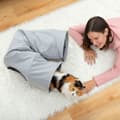Miniatyrbild 2 av 6: Tunnel för Fällbara Spel - InnovaGoods - Funnyl - Vattentät - 2 Positioner - För Katter