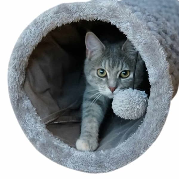 Hundtunneln Nobby Pet Diamond - Ø 27x90 cm