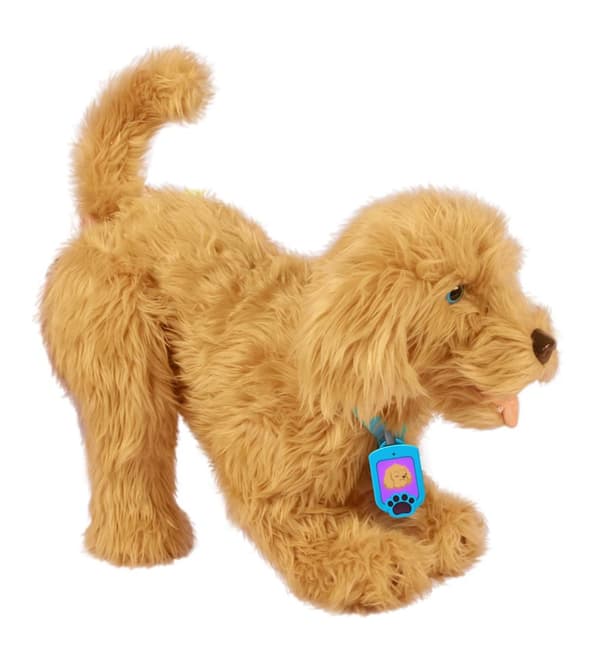 Moji the Loveable Labradoodle SE/DK