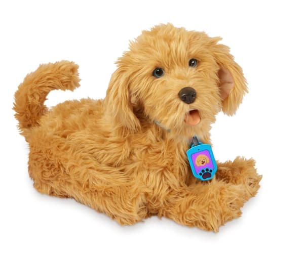 Moji the Loveable Labradoodle SE/DK