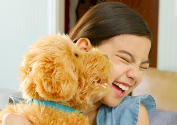 Moji the Loveable Labradoodle SE/DK