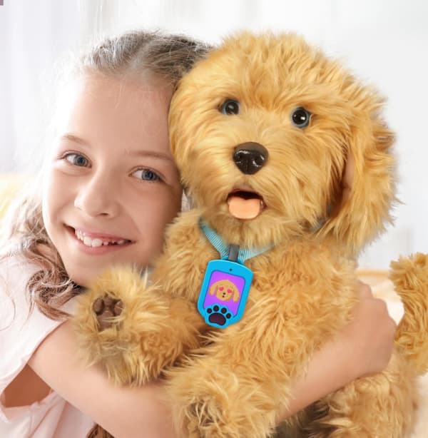 Moji the Loveable Labradoodle SE/DK