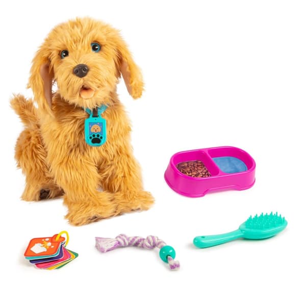 Moji the Loveable Labradoodle SE/DK