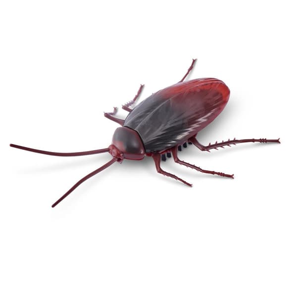 Robo Alive Crawling Cockroach Glød i mørket