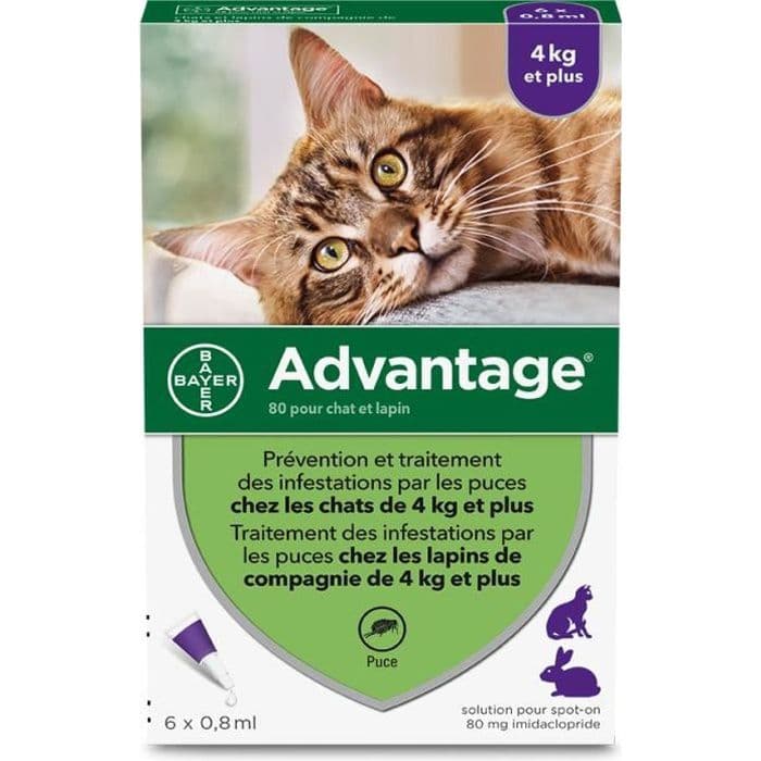FORDEL 80 - 6 antiparasitpipetter - Til kat og kanin 4 kg og derover