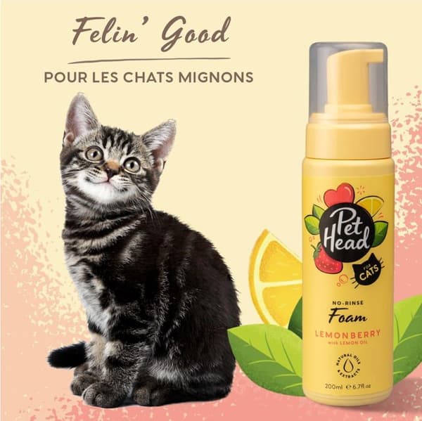 Husdjurshuvud - 90742A - Company of Animals Felin' Good Foam Waterless Shampoo for Cats