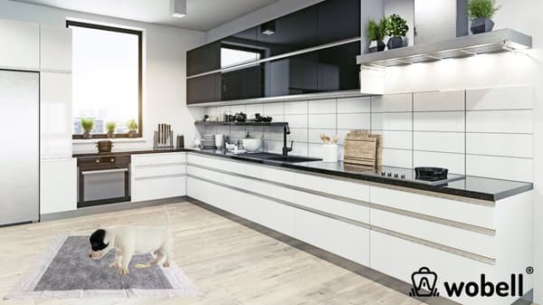 Absorberande hygieniska engångsmattor för hundkiss 60x60 40 st
