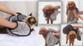 Miniatyrbild 7 av 7: Hund katt badhandduk snabbtorkande absorberande med fickor 60x22cm