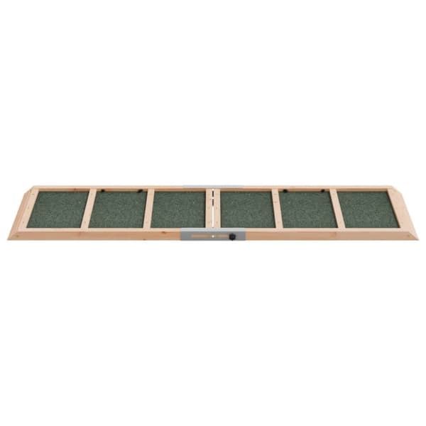 The Living Store Hundramp grön 120x30 cm massiv gran - Trappor & ramper för husdjur