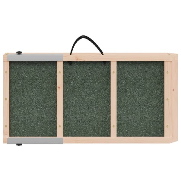 The Living Store Hundramp grön 120x30 cm massiv gran - Trappor & ramper för husdjur