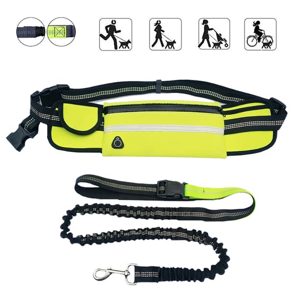 Hundkoppel med magväska och reflex
