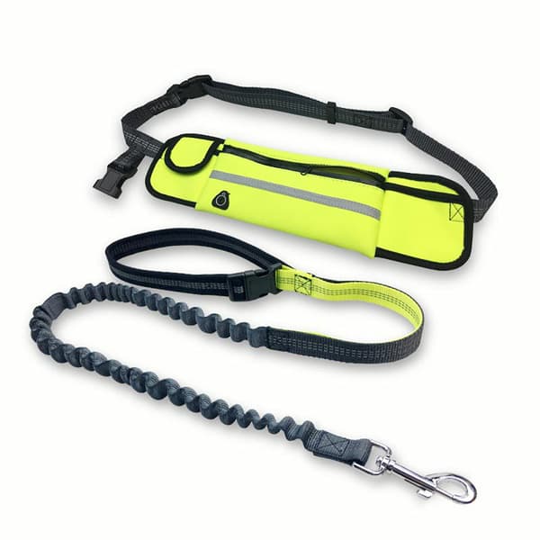 Hundkoppel med magväska och reflex