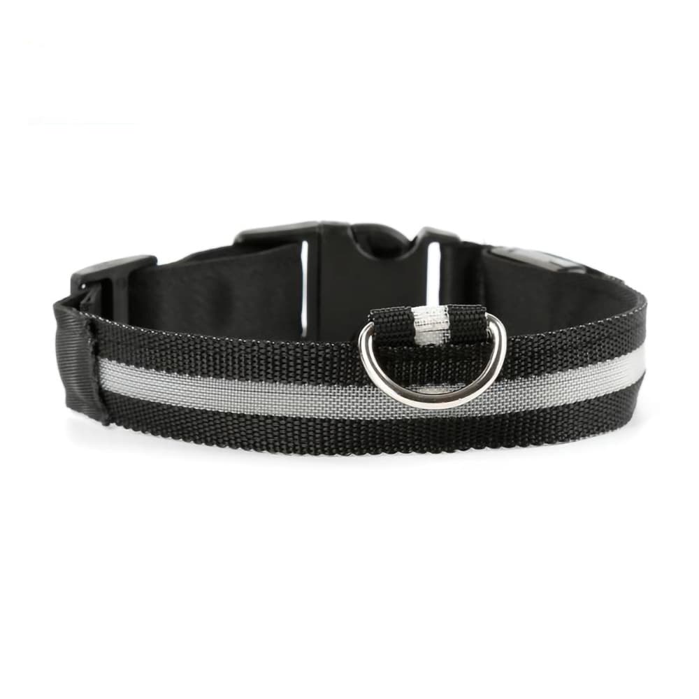 LED Halsband för husdjur - S
