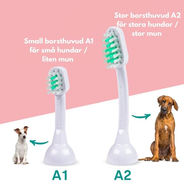 emmi®-pet 1.0 Ultraäänihammasharja koiralle