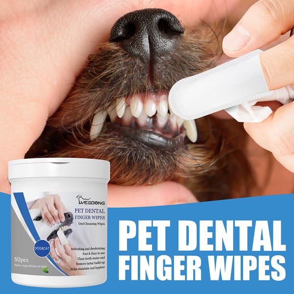 Fingertandborste för hunden - 50-pack