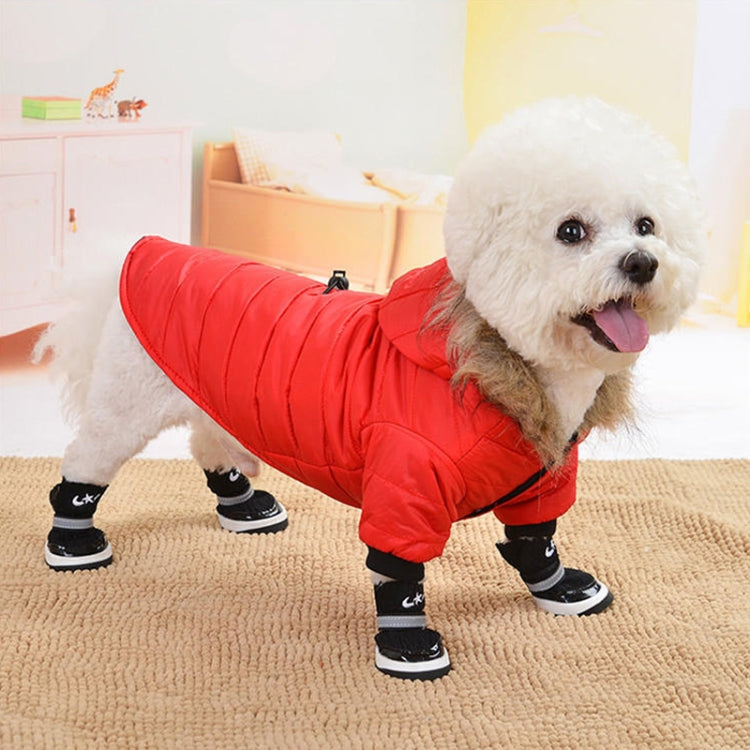 Dog outfits for small outlet dogs