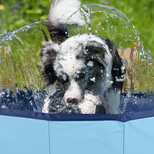 Hundpool large - 160x30cm