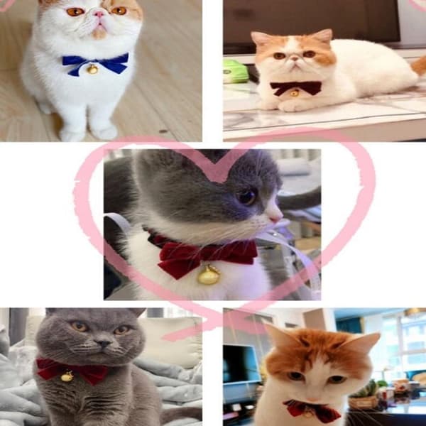 5 STK Fløjlssløjfe justerbar kæledyrshalsbånd Kat Hund Kanin sløjfetilbehør, Størrelse: S 17-30 cm, Stil: Bowknot (Pink)