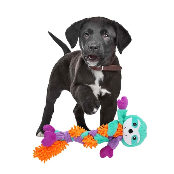 Tug/Fetch koiran lelu