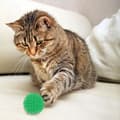Miniatyrbild 2 av 2: Piggboll för katt - 4-pack