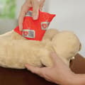 Miniatyrbilde 3 av 4: Huggie Pup - Gosedjur till hundar
