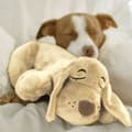 Miniatyrbilde 4 av 4: Huggie Pup - Gosedjur till hundar