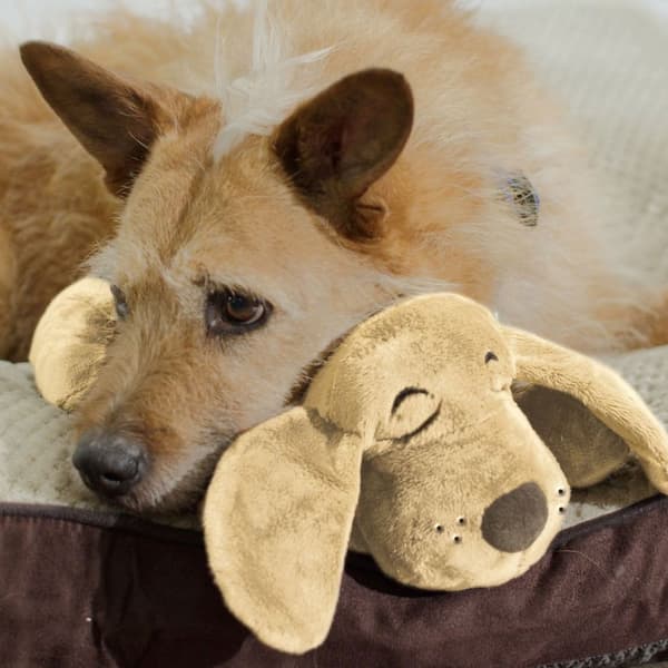 Huggie Pup - Gosedjur till hundar
