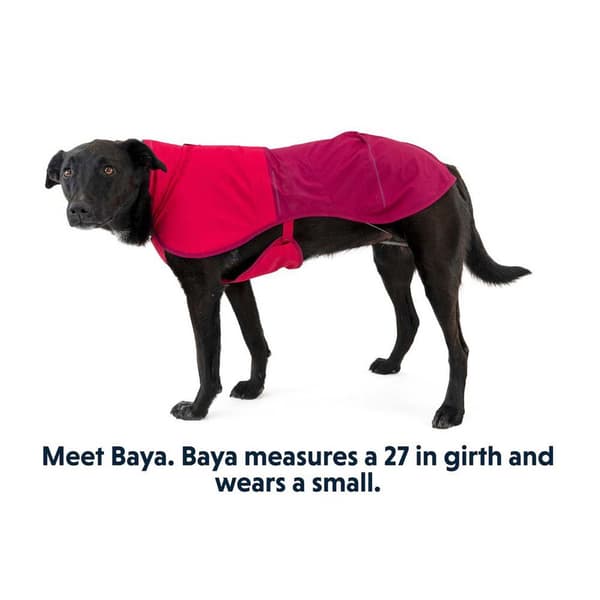 Ruffwear Hundejakke Sun Shower Blå 2XS