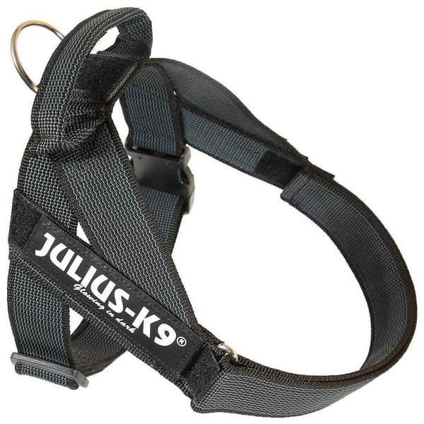 Julius K-9 Norsk Sele Idc Svart L-1