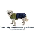 Miniatyrbild 8 av 9: Ruffwear Hundjacka Sun Shower Blå M