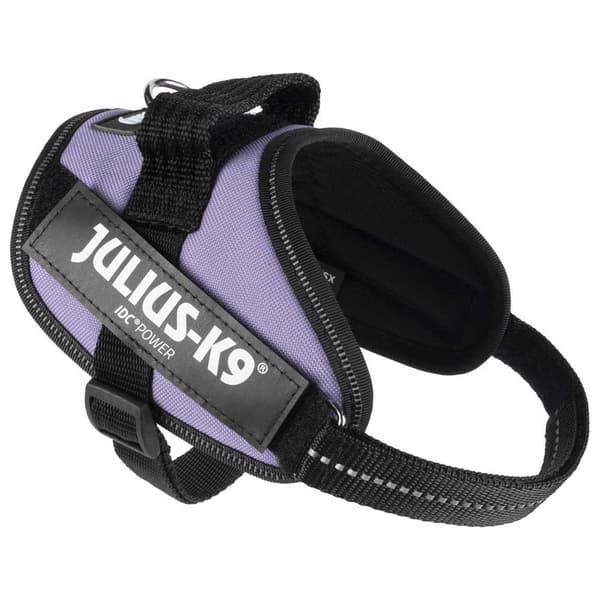 Julius K-9 Seletøj Idc® Power Mini Lilla Mini-Mini