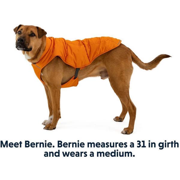 Ruffwear Hundejakke Quinzee Orange S