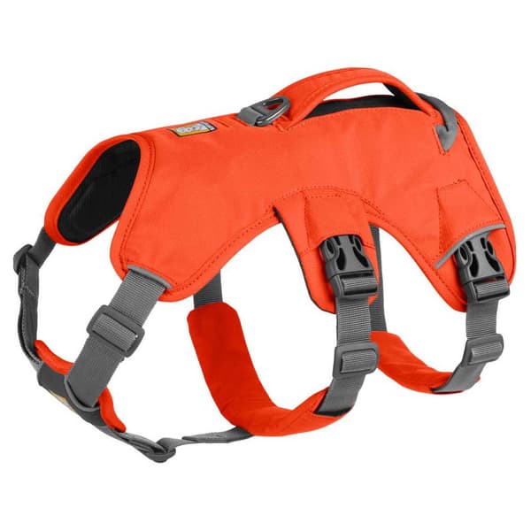 Ruffwear Seletøj Web Master Orange S