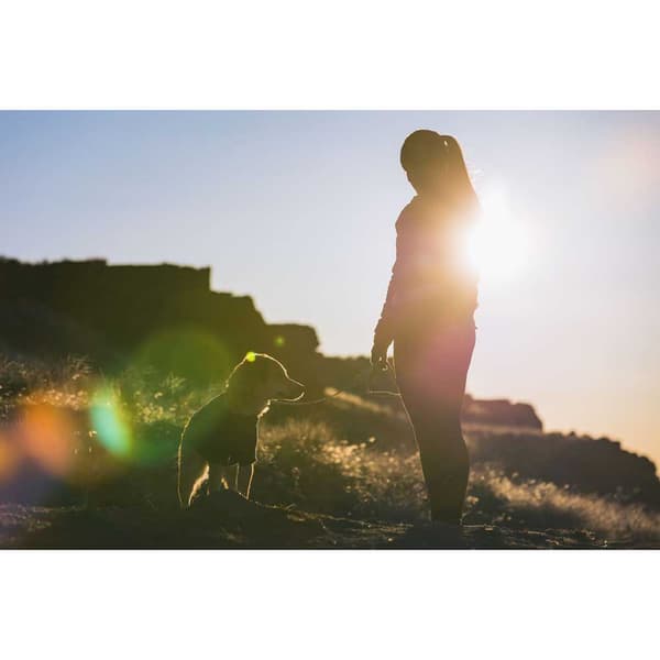 Ruffwear Fleece Climate Changer Blå L