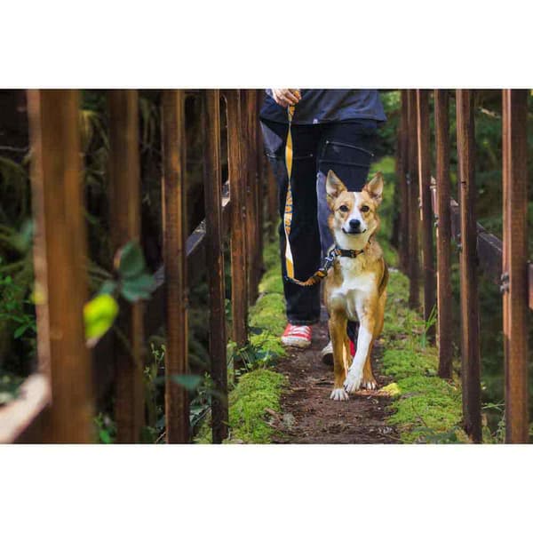 Ruffwear Krage Crag™ Gul 11-14 cm