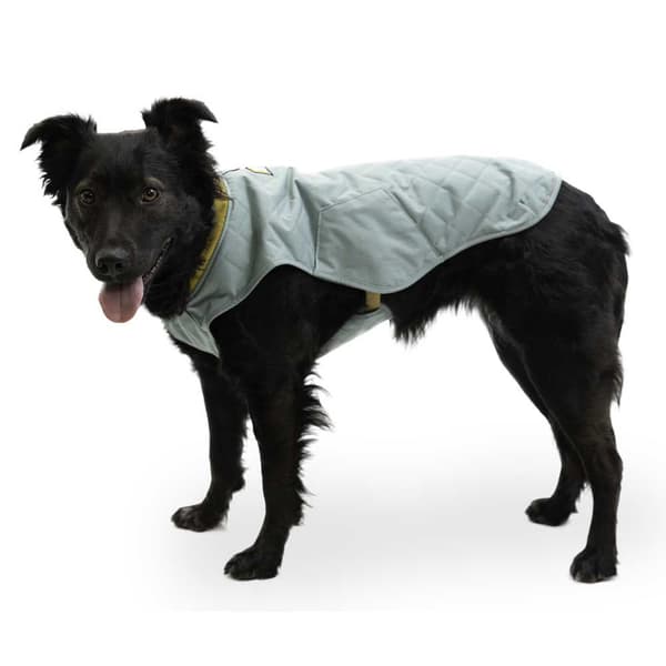 Ruffwear Skinna Stumptown™ Grönt M