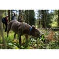 Miniatyrbild 6 av 9: Ruffwear Krage Crag™ Blå 14-20 cm