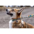 Miniatyrbild 4 av 6: Ruffwear Krage Crag™ Blå 14-20 cm