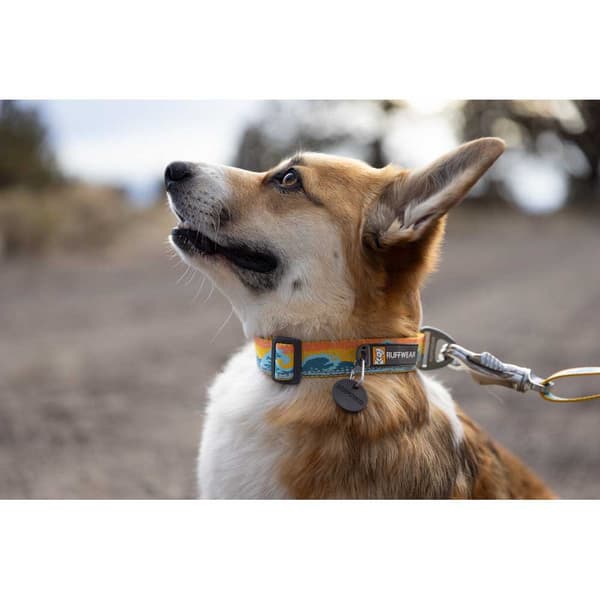 Ruffwear Krage Crag™ Blå 14-20 cm