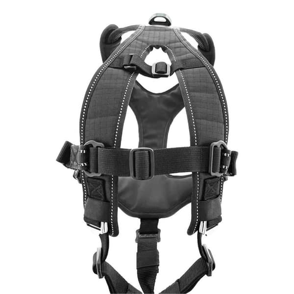 Raidlight Sele I-dog Svart M