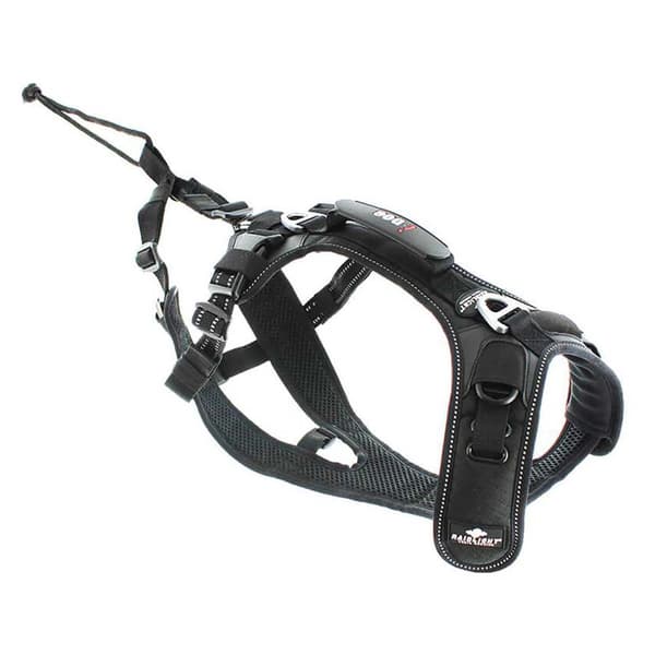 Raidlight Sele I-dog Svart M