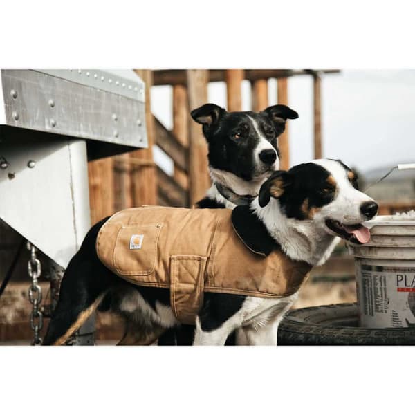 Carhartt Hundejakke Chore Brun L