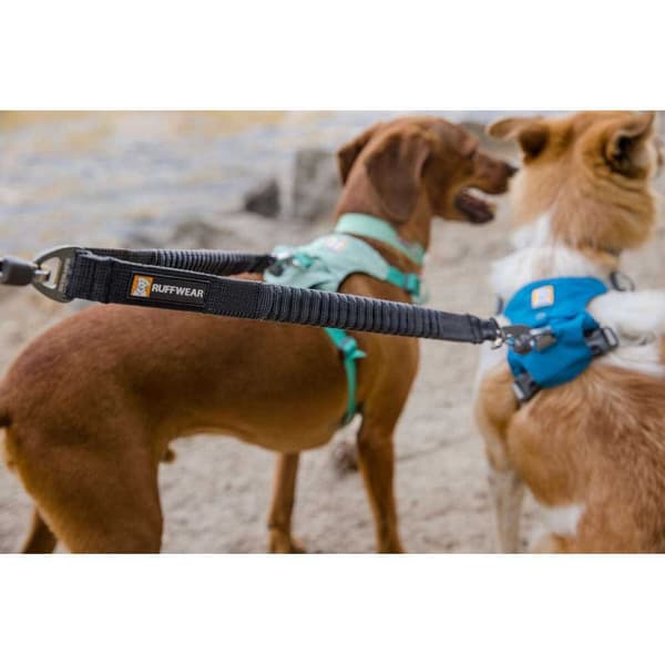 Ruffwear Hihna Double Track™ Coupler Hopeinen