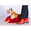 Miniatyrbillede 2 af 2: Freedog Anti Stress Seng Donut Rød 65 cm