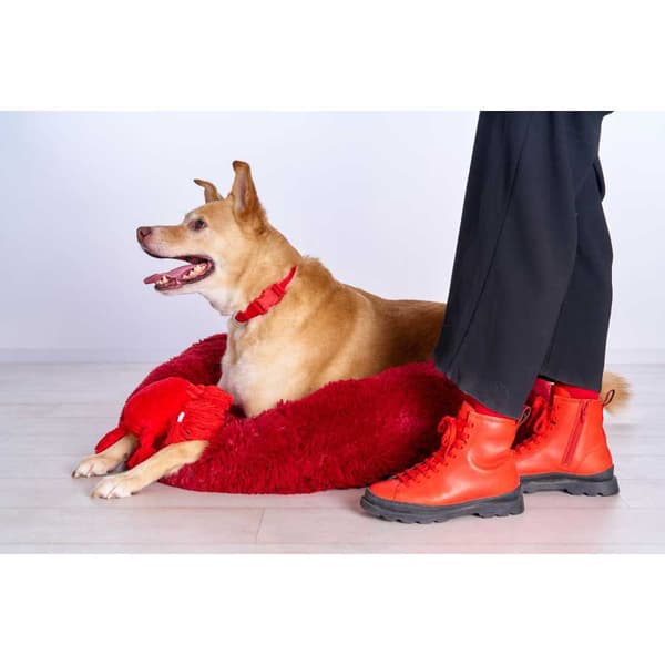 Freedog Anti Stress Seng Donut Rød 65 cm